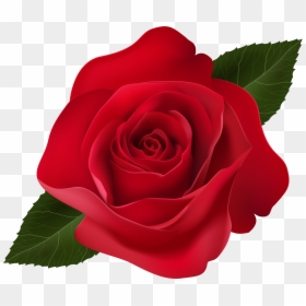 Red Rose Clip Art Png Image , Png Download, Transparent Png - rose clip art png