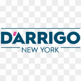 D"arrigo New York - D Arrigo Ny, HD Png Download - ny hat png