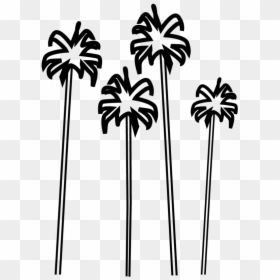 Desert Palm, HD Png Download - palm tree icon png