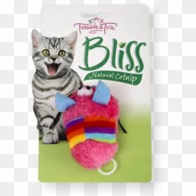 Transparent Cat Laying Down Png - Cat Toy Mouse Packaging, Png Download - cat toy png