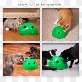 Pop & Play Cat Toy, HD Png Download - cat toy png