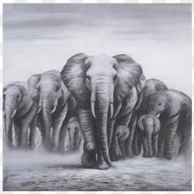 Gallery Wrap, HD Png Download - elephants png