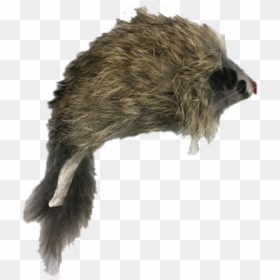 Go Cat Long Haired Mouse Cat Toy"     Data Rimg="lazy"  - Punxsutawney Phil, HD Png Download - cat toy png