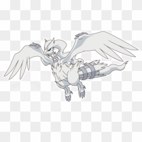 Pokemon Huyền Thoại Reshiram, HD Png Download - zekrom png