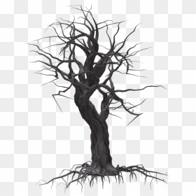 Transparent Spooky Clipart - Creepy Tree Png, Png Download - spooky tree png