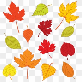 Leaf Drawing Background, HD Png Download - thanksgiving background png