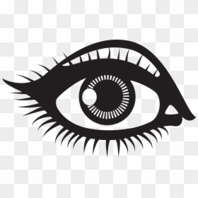 Iris,eye,organ - Colouring Picture Of Eye, HD Png Download - eye drawing png