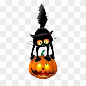 Halloween Black Cat Cartoon, HD Png Download - halloween pumpkins png