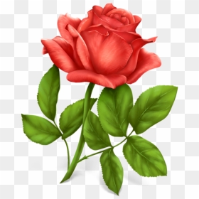 Red Rose With Leaves Clipart Free Png Download - Single Rose Images Download, Transparent Png - leaves clipart png