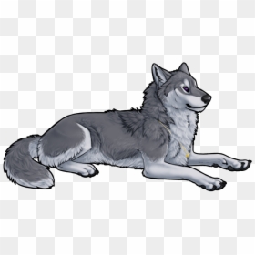 Transparent Anime Wolf Png - Grey Anime Wolf, Png Download - anime wolf png