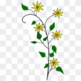 Small Floral Divider Clipart, Vector Clip Art Online, - Simple Flower Plant Drawing, HD Png Download - flower divider png