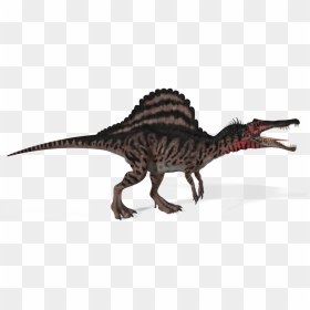 Thumb Image - Dinosaur Transparent Background, HD Png Download - spinosaurus png