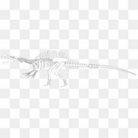 Lesothosaurus, HD Png Download - spinosaurus png
