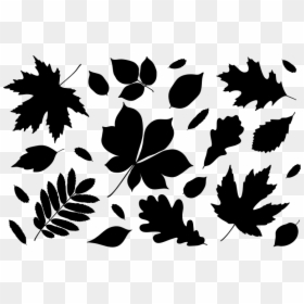 Transparent Fall Leaves Png - Silhouette Fall Leaves Clipart Black And White, Png Download - falling leaf png