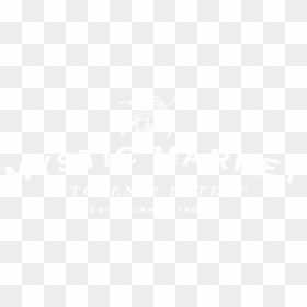 Crowne Plaza Logo White, HD Png Download - mystic png
