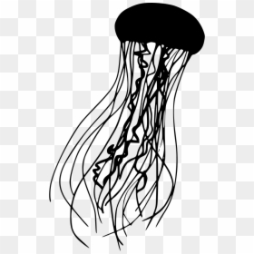 Jellyfish - Jellyfish Black And White Png, Transparent Png - jelly fish png