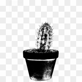 Houseplant, HD Png Download - watercolor cactus png