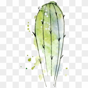Transparent Watercolor Cactus Png - Watercolor Cactus Icon Png, Png Download - watercolor cactus png