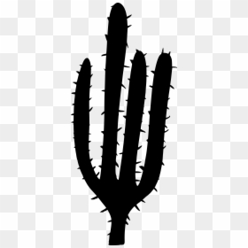 Cactus Silhouette Transparent Background, HD Png Download - watercolor cactus png