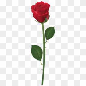 Free Png Rose With Stem Red Png Png Images Transparent - Purple Rose With Stem, Png Download - single red rose png