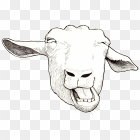 Funny Goat - Sketch, HD Png Download - goat.png
