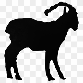 Animal Wildlife Decal, HD Png Download - goat.png