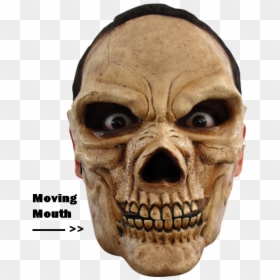 Horror Face Png - Horror Skull Face, Transparent Png - horror face png