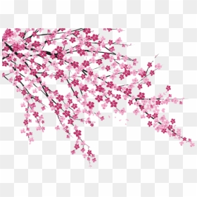 Cherry Blossom Sakura No Hanabiratachi Wall Painting - Sakura Cherry Blossom Png, Transparent Png - cherry blossom petal png