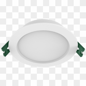 Circle, HD Png Download - sal png