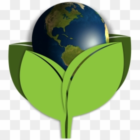 How Green Was My pyrex - Drawing Of Earth And Plants, HD Png Download - pyrex png