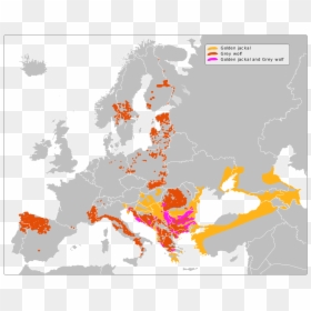 European Union Members 2018, HD Png Download - jackal png