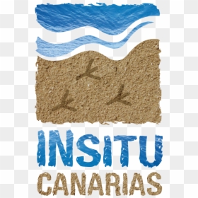 Textura Insitu - Sand Texture, HD Png Download - textura png