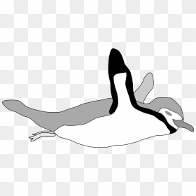 Photography - Penguin Swimming Clipart Gif, HD Png Download - swimming silhouette png