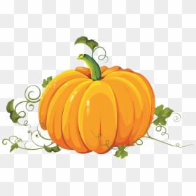 Pumpkin Collection Of Pumpkins Clipart Transparent - Transparent Background Pumpkin Clipart, HD Png Download - pumpkin head png