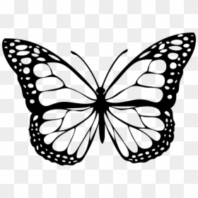 Transparent Butterfly Outline Png - Black And White Butterfly Png, Png Download - butterfly outline png