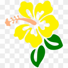 Hibiscus Yellow Clip Art - Hibiscus Clip Art, HD Png Download - hibiscus clipart png