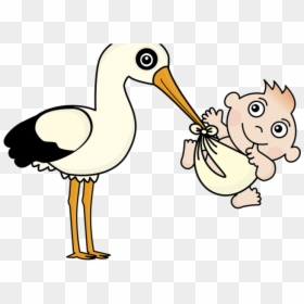 Stork Clipart Baby Vector - Nascimento Clipart, HD Png Download - baby vector png