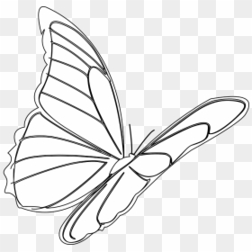 Butterfly, Flying, Insect, Monarch, Bug, Outline - Hinh Anh Con Buom Bay, HD Png Download - butterfly outline png