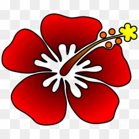 Hibiscus,plant,flora - Rosemallows Clipart, HD Png Download - hibiscus clipart png