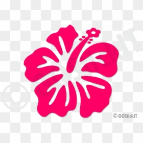 Transparent Hibiscus Clipart Png - Hibiscus, Png Download - hibiscus clipart png
