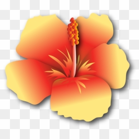 Hibiscus Yr $500 - Hawaiian Hibiscus, HD Png Download - hibiscus clipart png