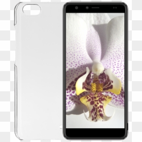 Gigaset Total Clear Cover - Moth Orchid, HD Png Download - dirt smudge png