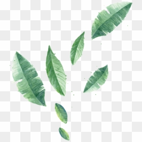 Leaf Wall Painting Png, Transparent Png - plant vector png