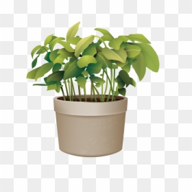 Pictures Of Potted Plants Best Of Flowerpot Plant Vector - Potted Plant Transparent Background, HD Png Download - plant vector png
