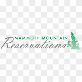 Top Vintage Logo, HD Png Download - real rainbow png