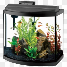 Aquarium Png - Aqueon Aquarium, Transparent Png - aquarium png