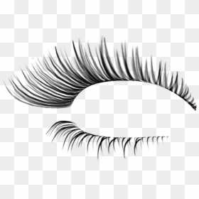 Transparent Background Eyelashes Png, Png Download - pestañas png