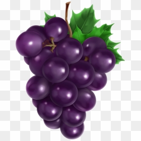 Transparent Grapes Clipart, HD Png Download - grapes png