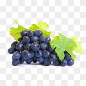 Extrait De Pépins De Raisin, HD Png Download - grapes png