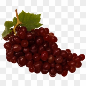 Red Wine Grapes Png, Transparent Png - grapes png